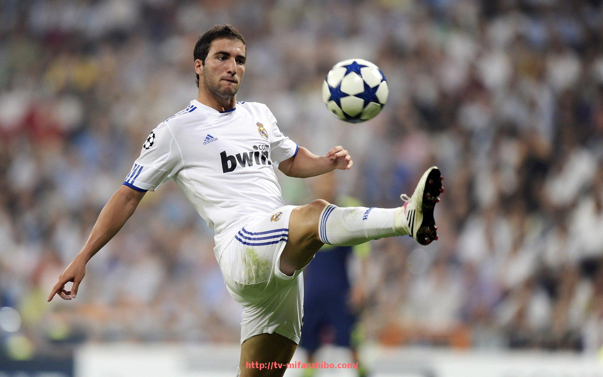 秘饭直播-德甲各球队标志：德甲各大球队的标志与设计分析