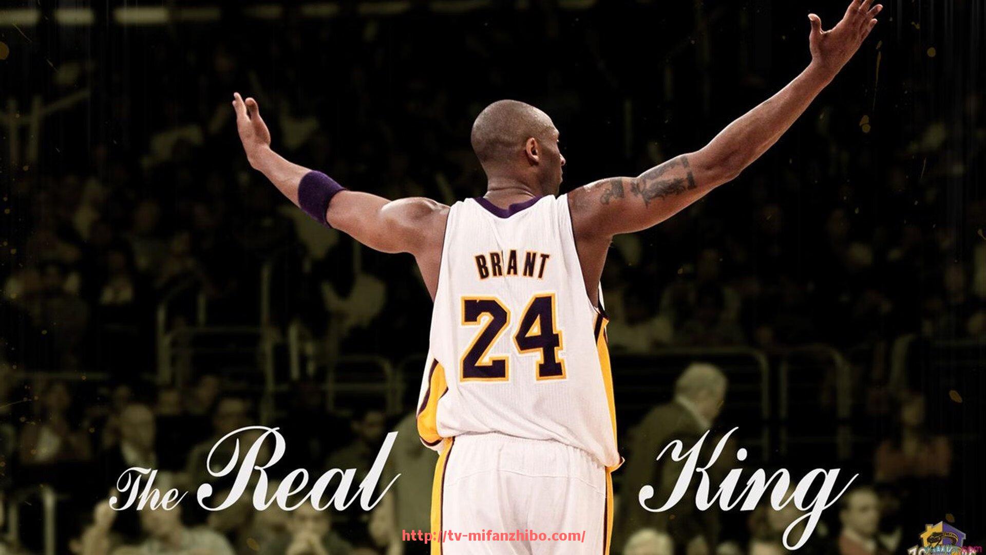 秘饭直播-彪马作为赞助商对西甲联赛有何影响？（彪马赞助费）