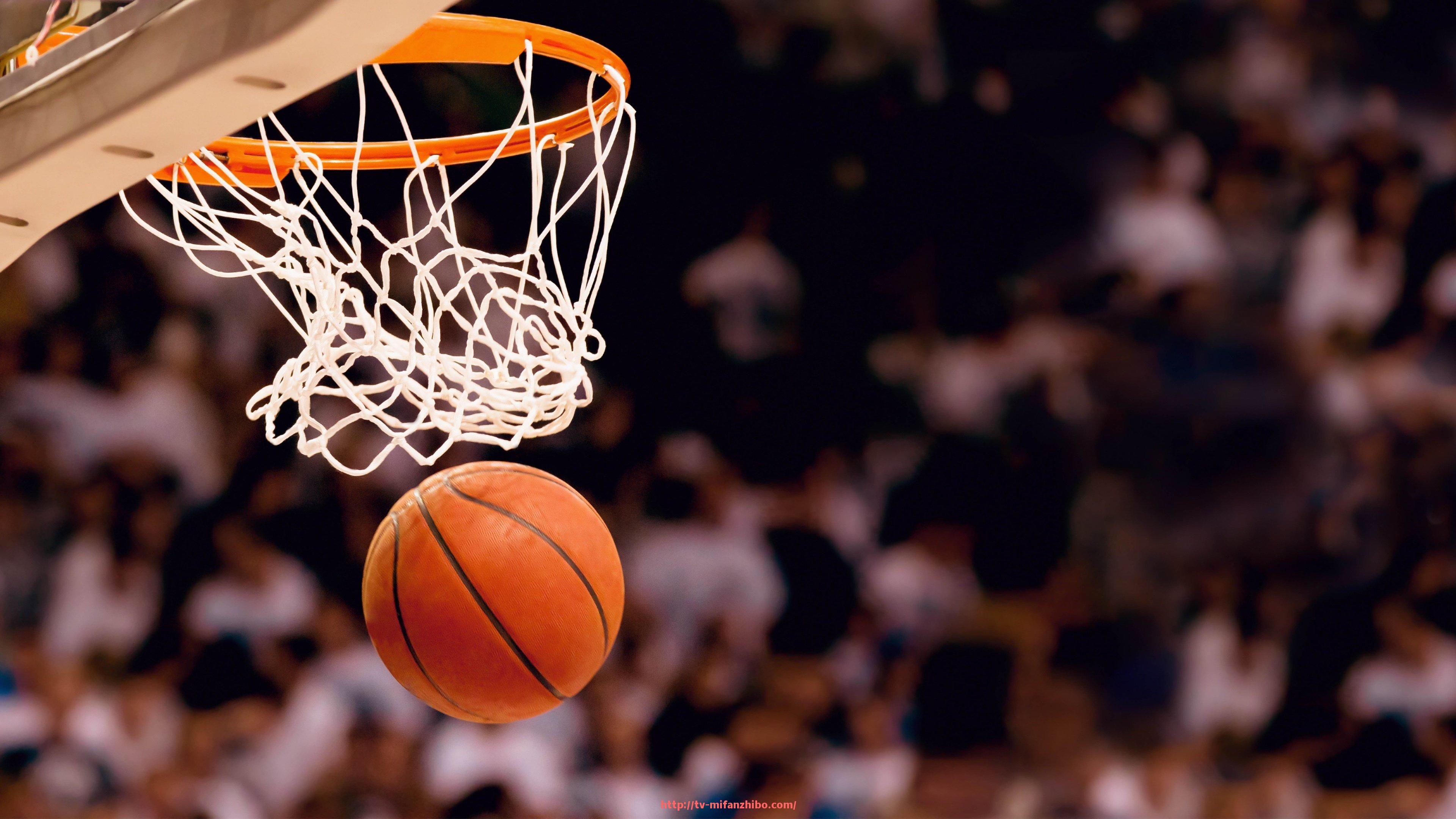 秘饭直播-新浪体育NBA频道与新浪体育其他版块有何不同(新浪体育看nba免费吗)